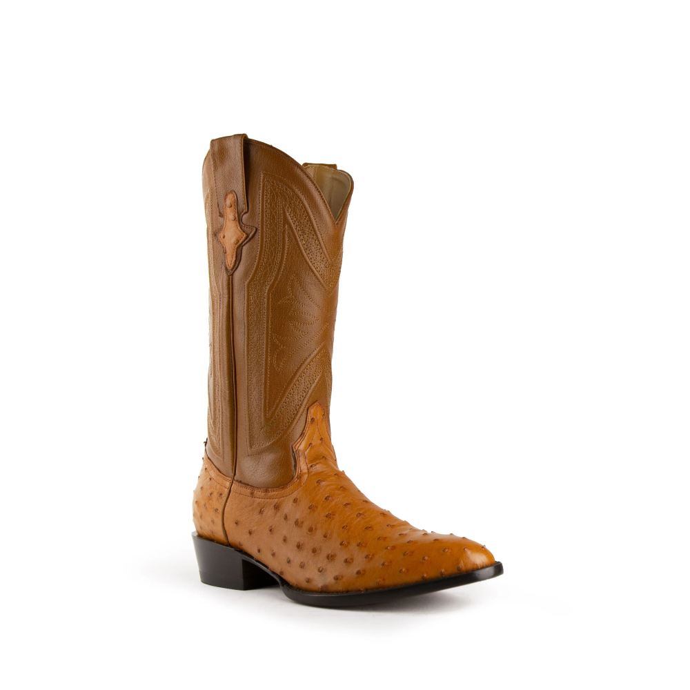 Ferrini | Colt - Men's Full Quill Ostrich-Cognac