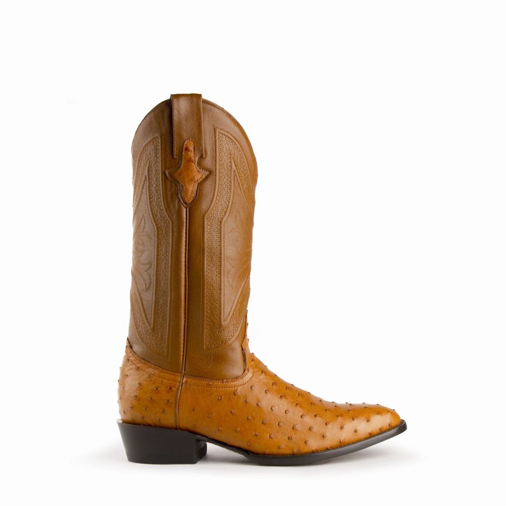 Ferrini | Colt - Men's Full Quill Ostrich-Cognac