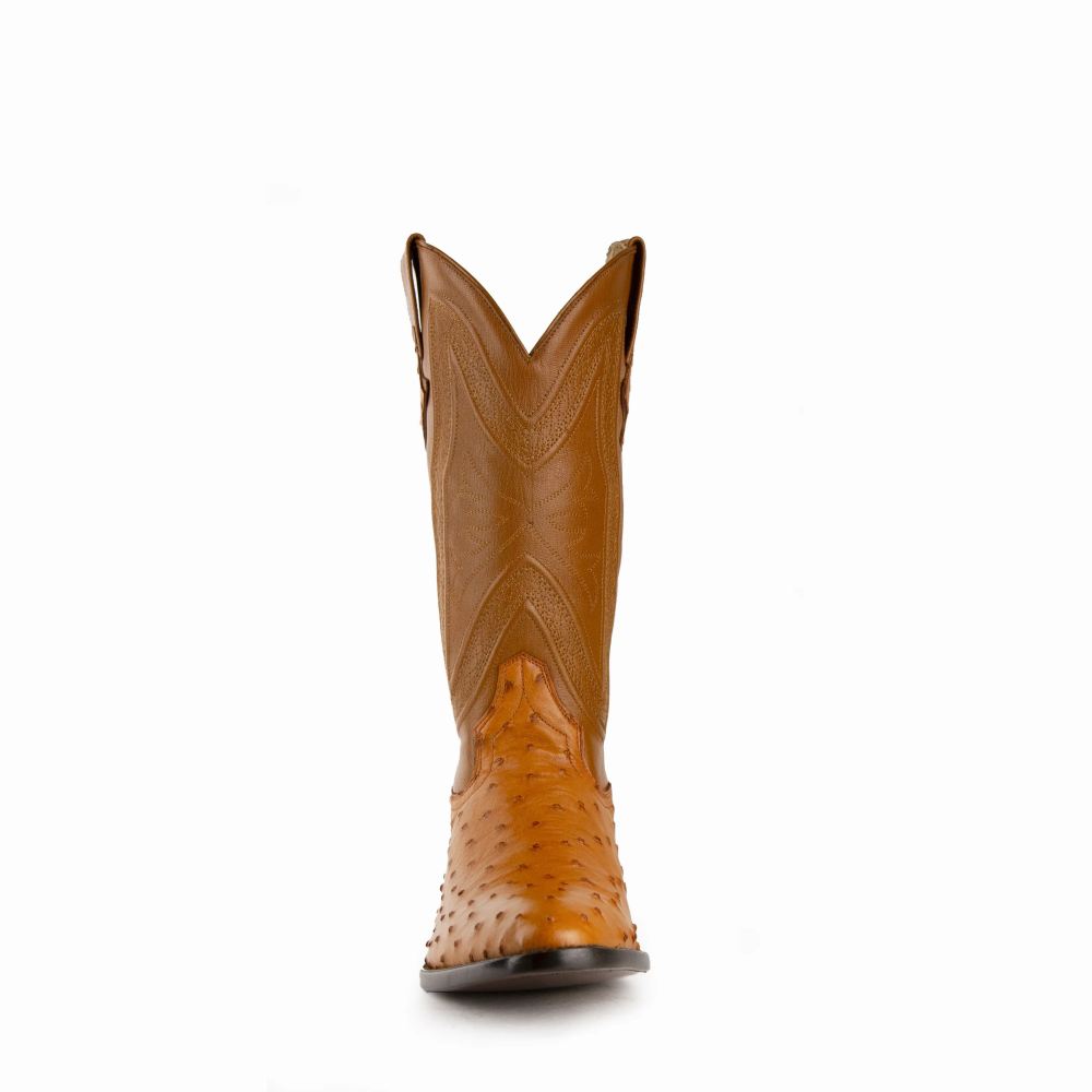 Ferrini | Colt - Men's Full Quill Ostrich-Cognac