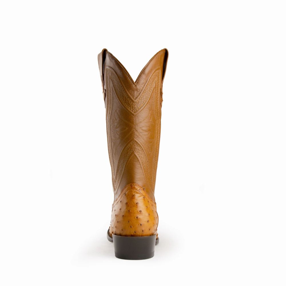 Ferrini | Colt - Men's Full Quill Ostrich-Cognac