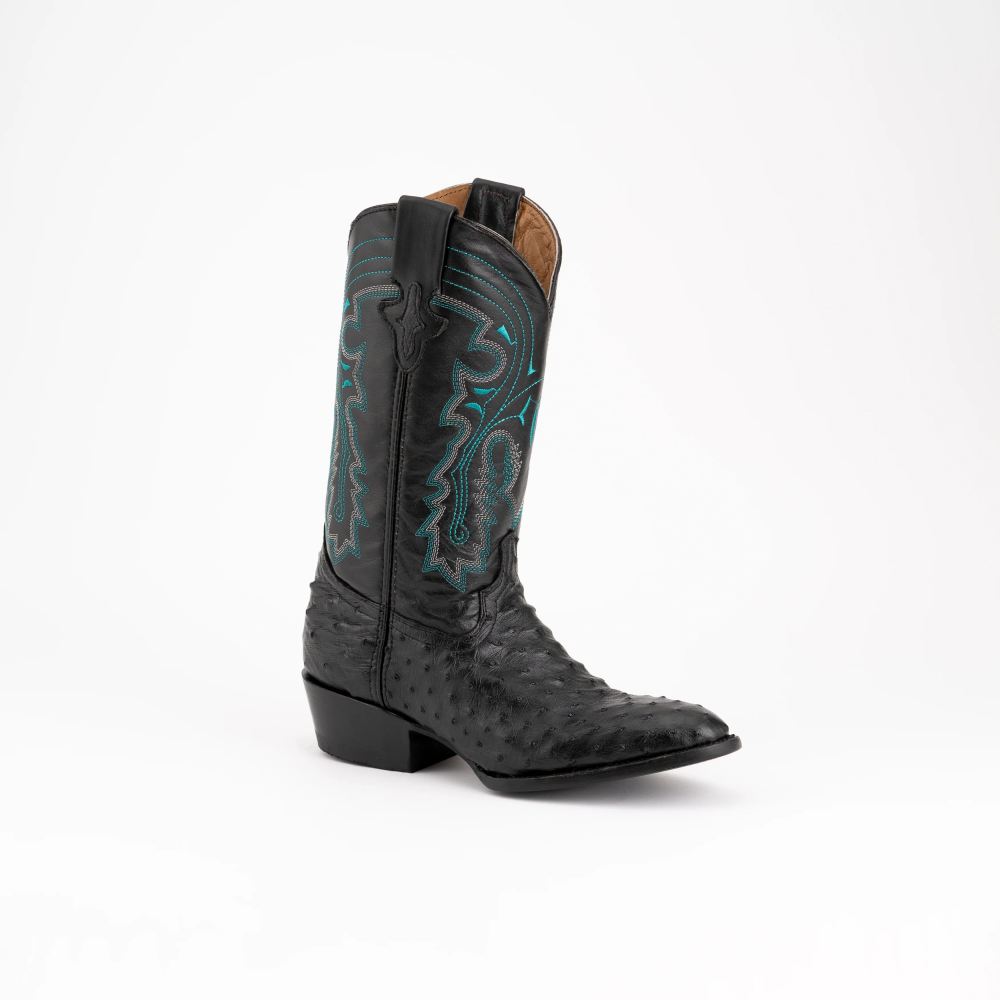 Ferrini | Colt - Men's Full Quill Ostrich-Black