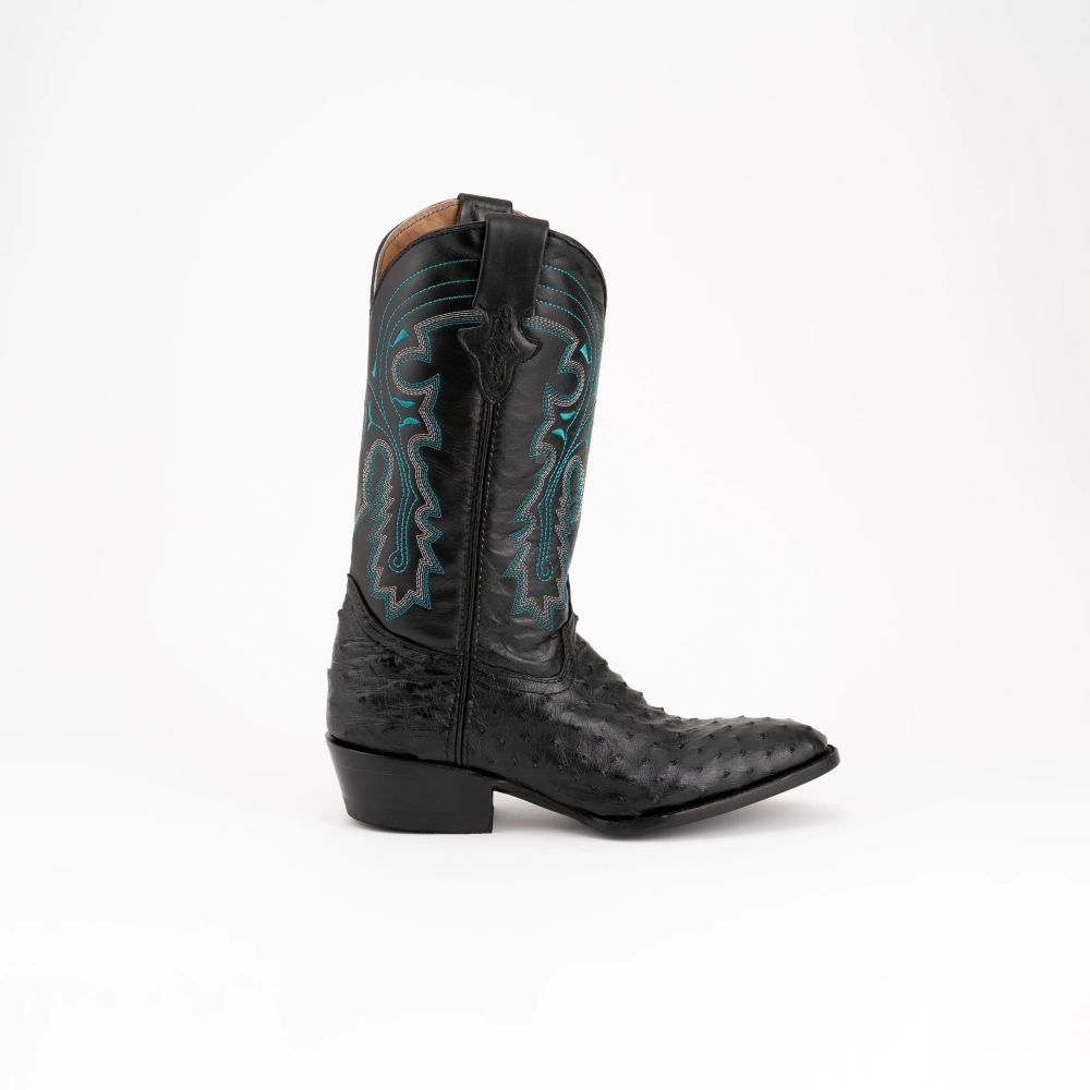 Ferrini | Colt - Men's Full Quill Ostrich-Black