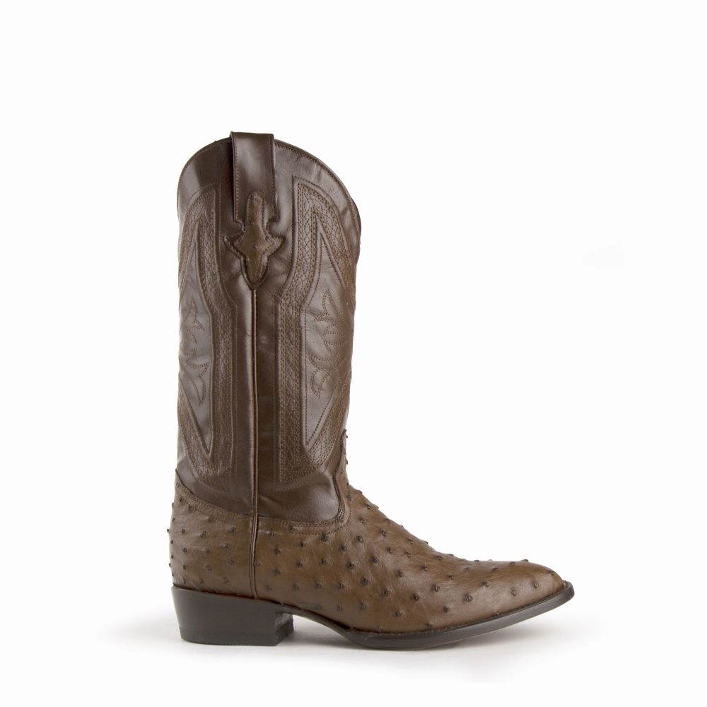 Ferrini | Colt - Men's Full Quill Ostrich-Kango Tabac