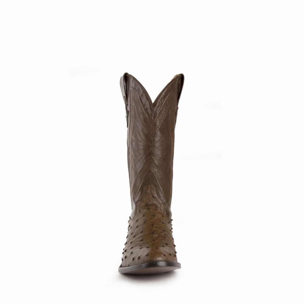 Ferrini | Colt - Men's Full Quill Ostrich-Kango Tabac