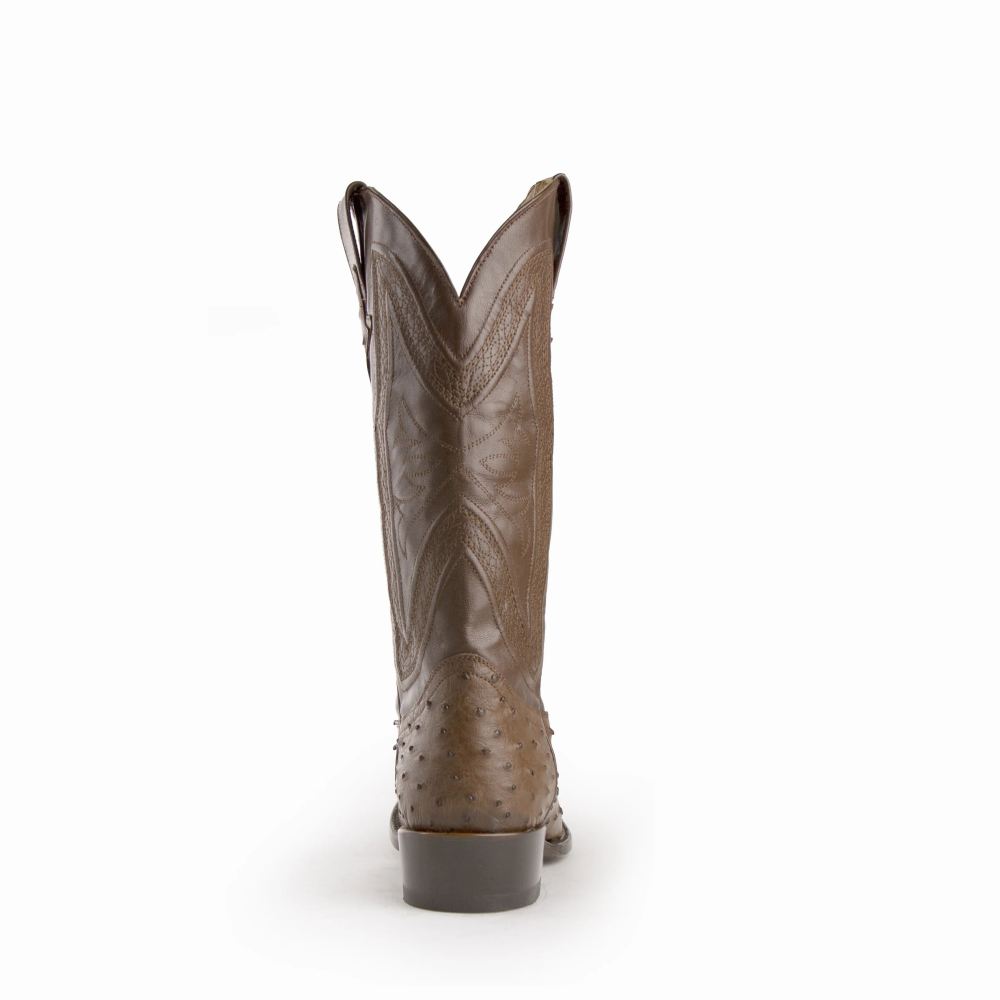 Ferrini | Colt - Men's Full Quill Ostrich-Kango Tabac