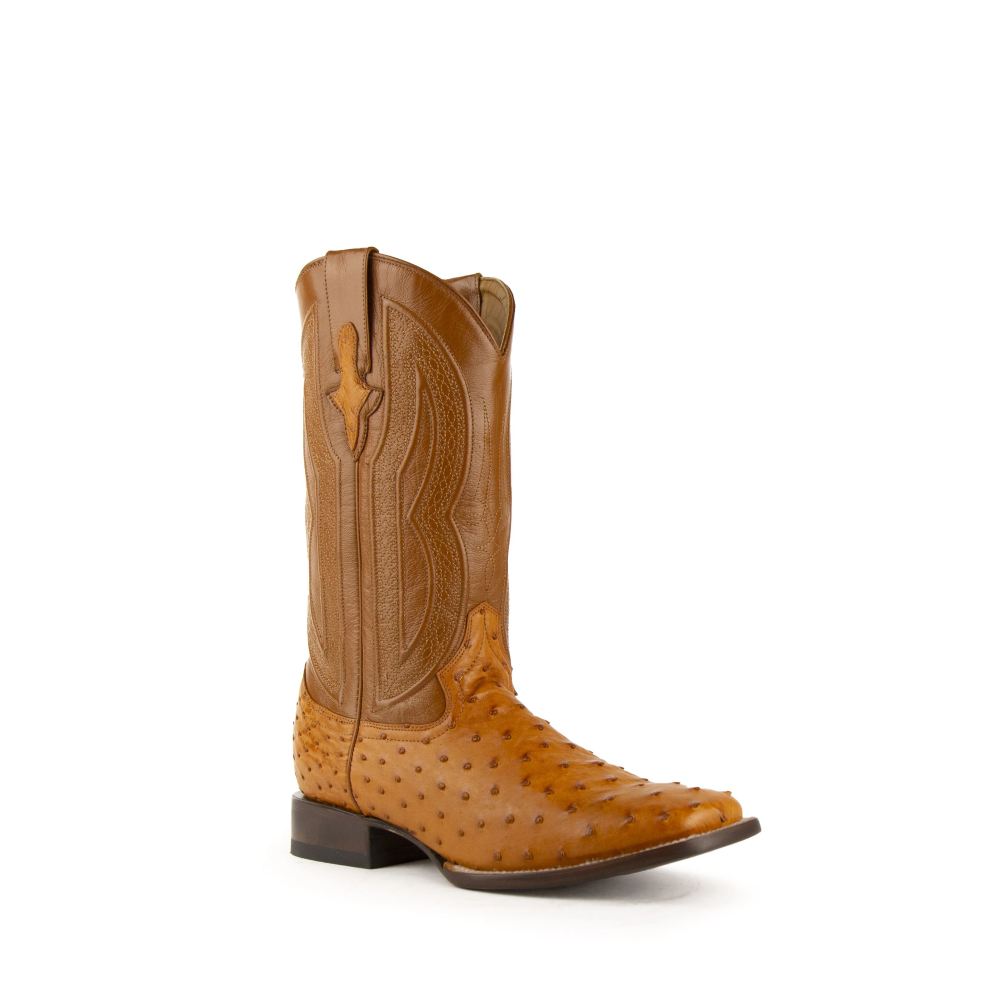 Ferrini | Colt - Men's Full Quill Ostrich-Cognac