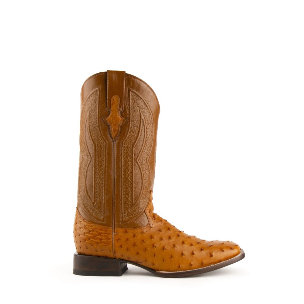 Ferrini | Colt - Men's Full Quill Ostrich-Cognac