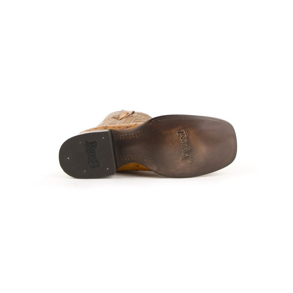 Ferrini | Colt - Men's Full Quill Ostrich-Cognac