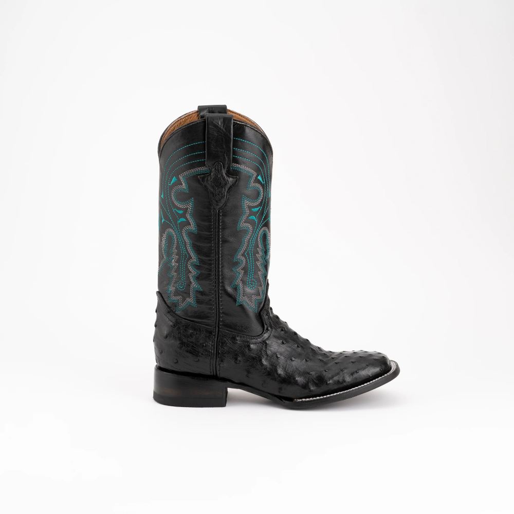 Ferrini | Colt - Men's Full Quill Ostrich-Black