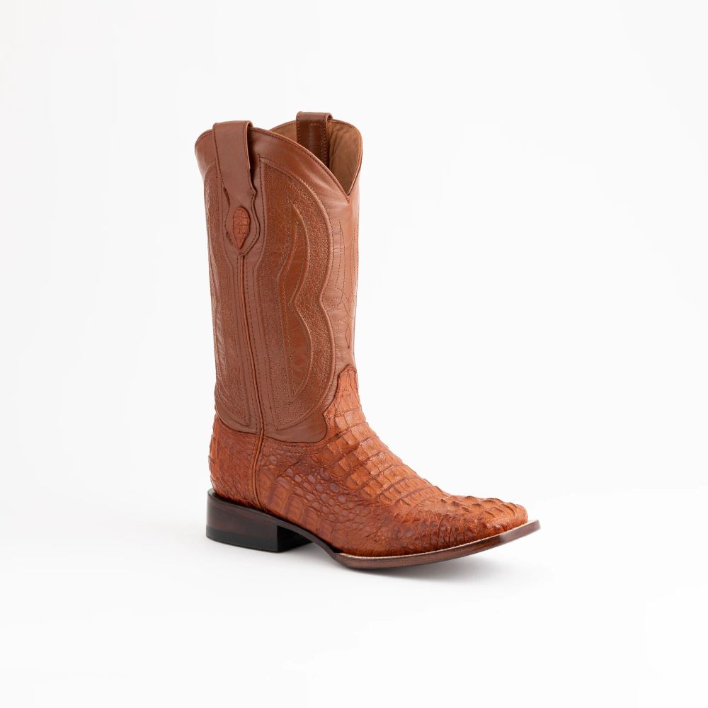 Ferrini | Men's Hornback Caiman Dakota-Cognac