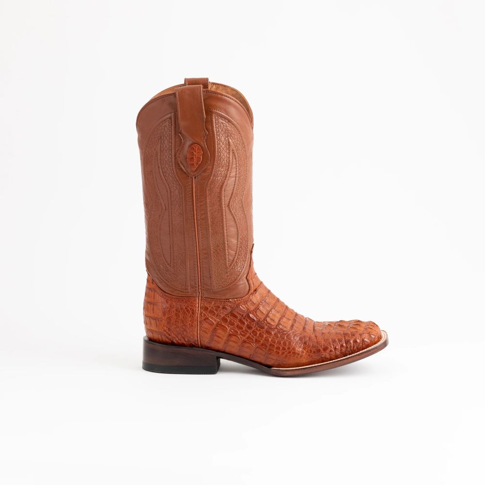 Ferrini | Men's Hornback Caiman Dakota-Cognac