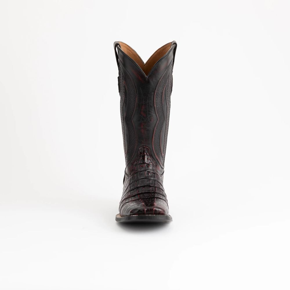 Ferrini | Men's Hornback Caiman Dakota-Black Cherry