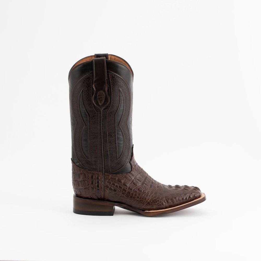 Ferrini | Men's Hornback Caiman Dakota-Brown