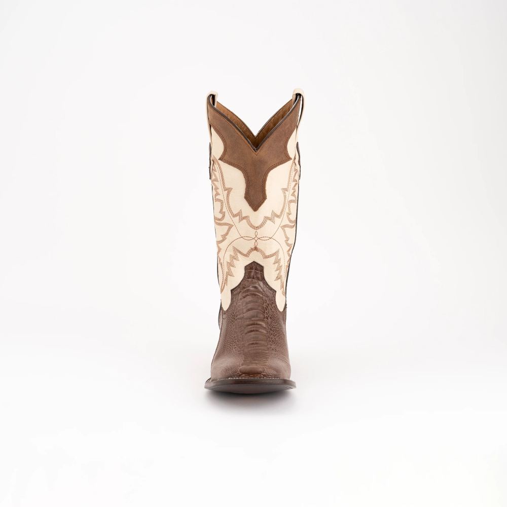 Ferrini | Men's Nash-Brown