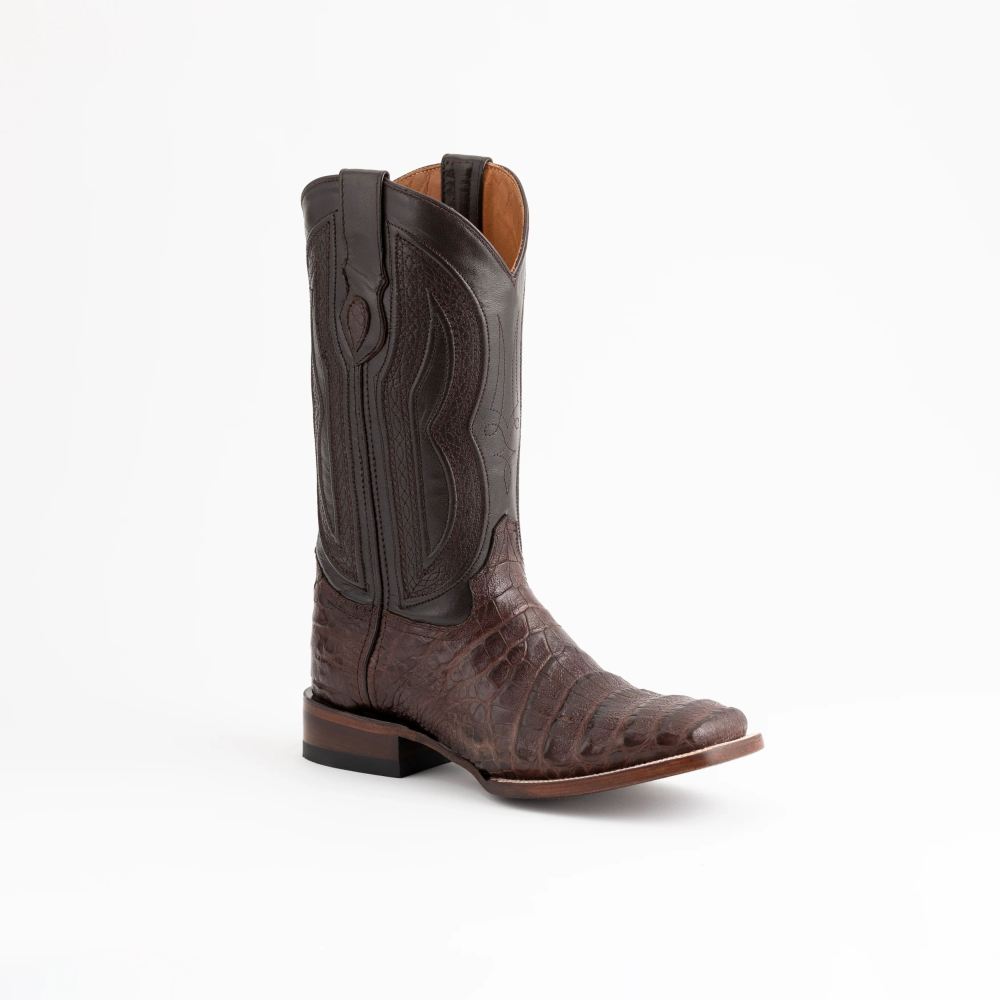 Ferrini | Men's Belly Caiman Dakota-Chocolate