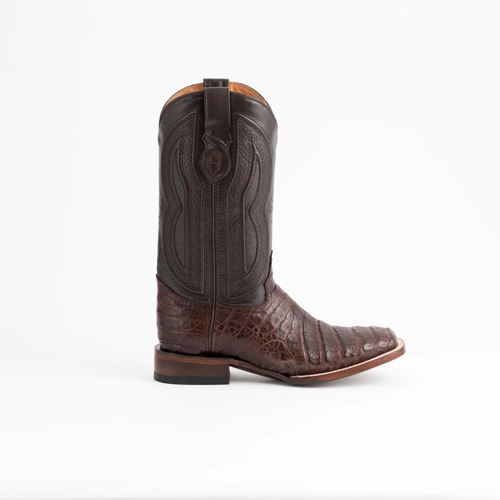 Ferrini | Men's Belly Caiman Dakota-Chocolate