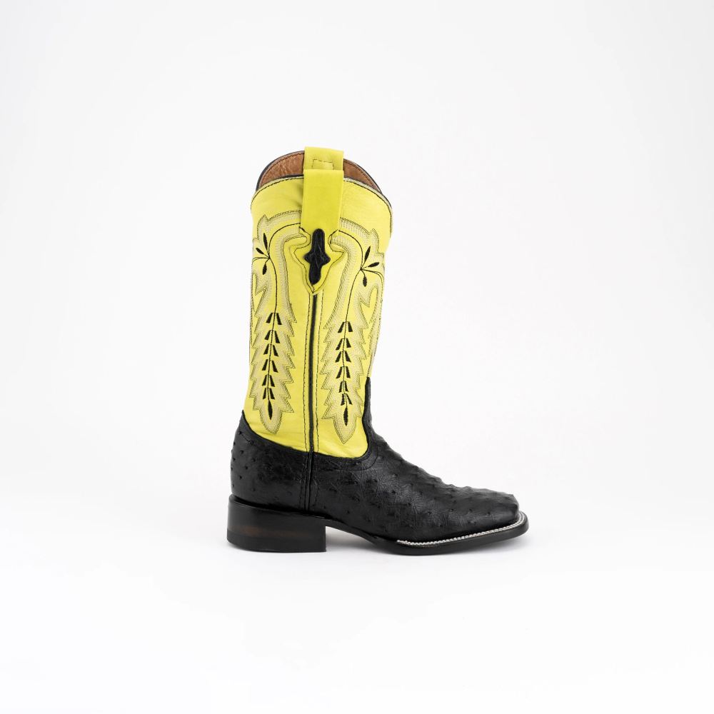 Ferrini | Women's Ladies Colt - Full Quill Ostrich-Black