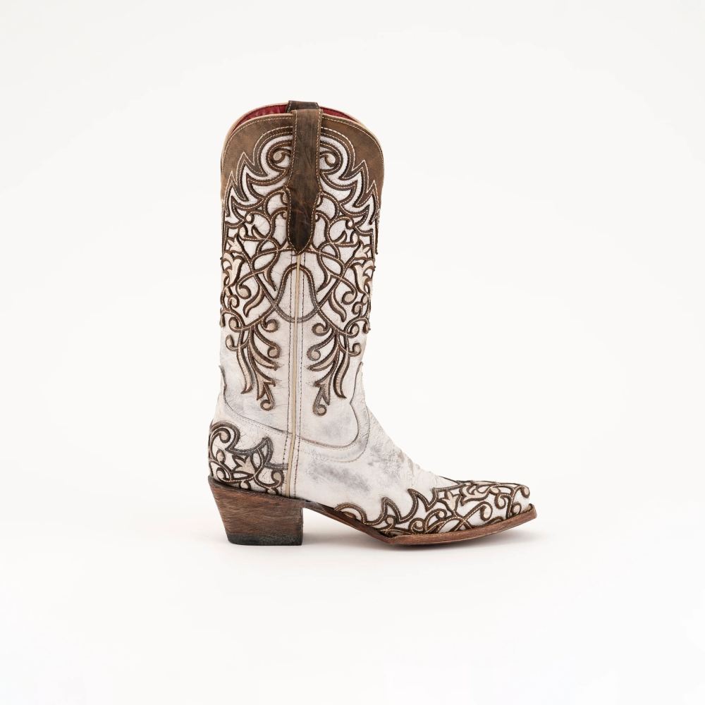 Ferrini | Women's Ivy-Chocolate/White