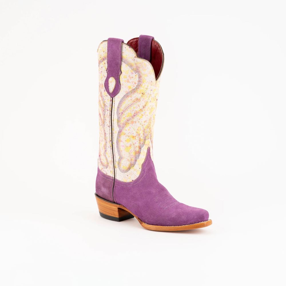 Ferrini | Women's Candy-Purple/Cream