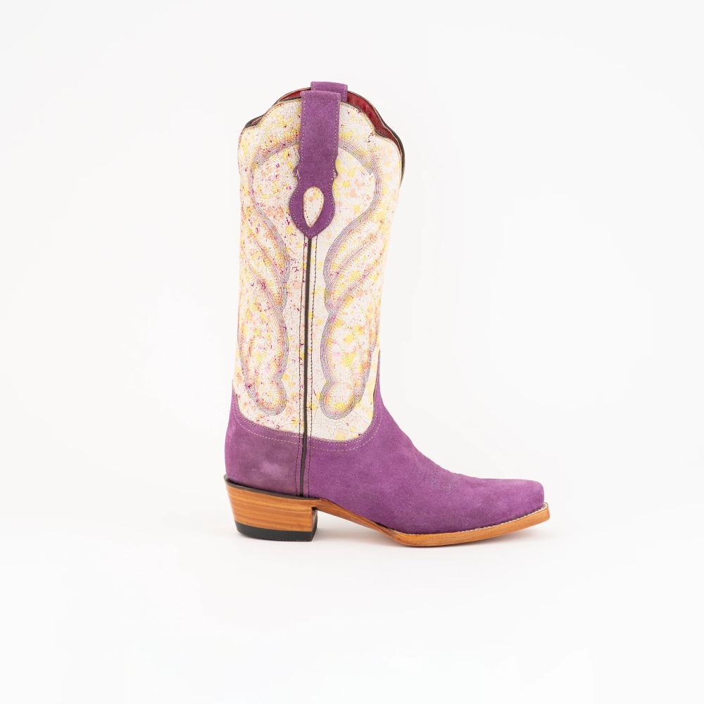 Ferrini | Women's Candy-Purple/Cream