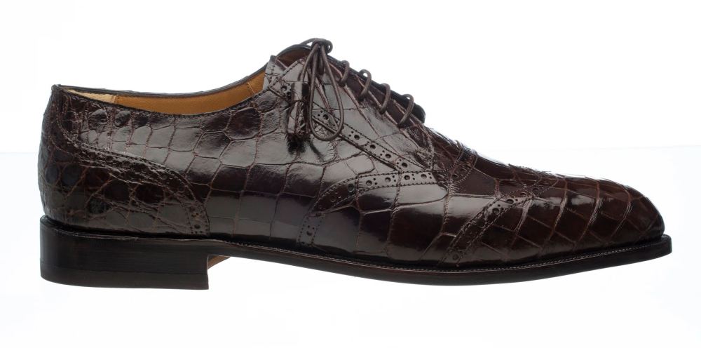 Ferrini | Men's Belly Alligator 3673-Chocolate